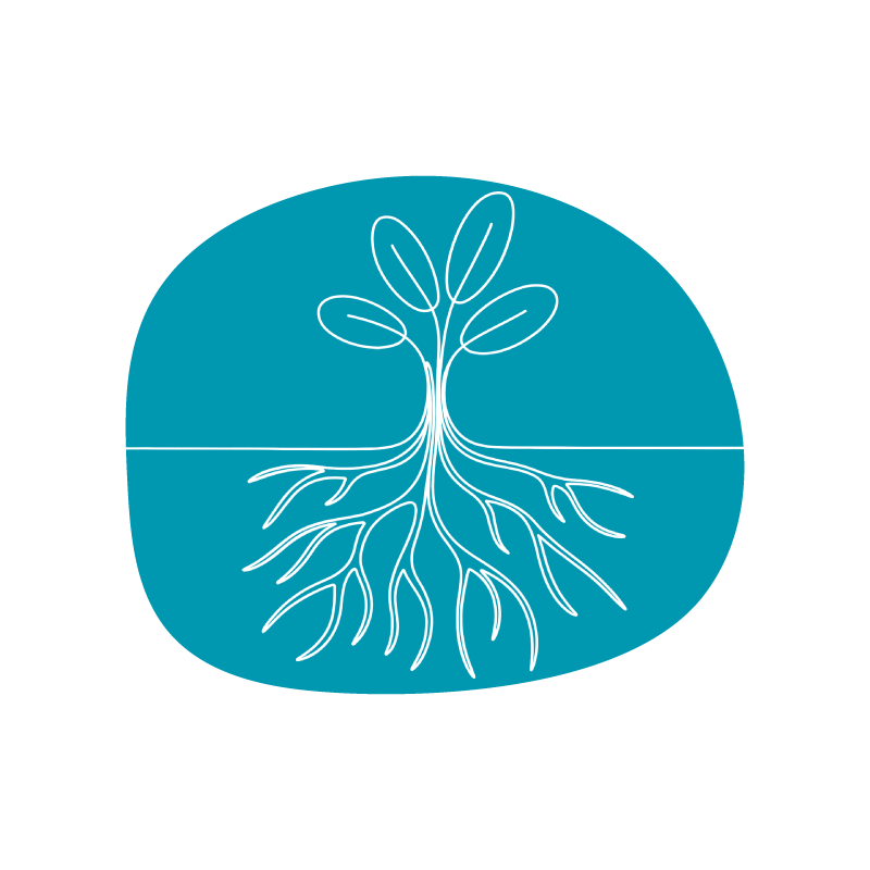 Learning and knowledge access